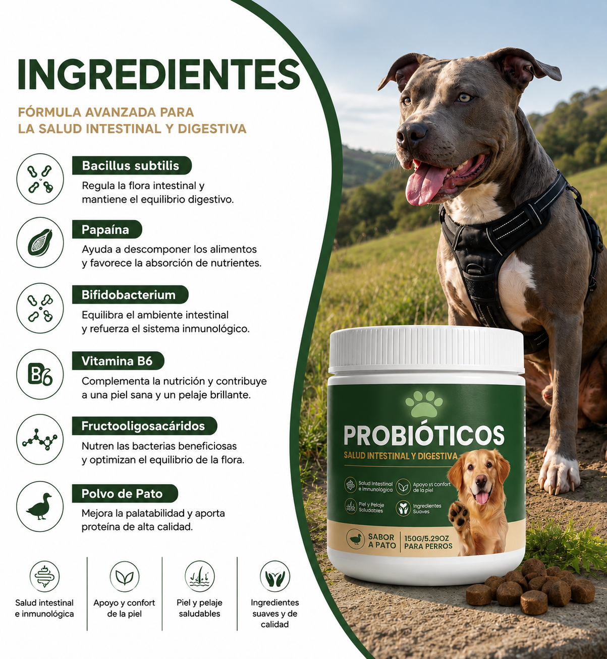 Probióticos para la salud digestiva de tu perro