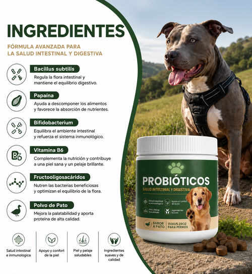 Probióticos para la salud digestiva de tu perro