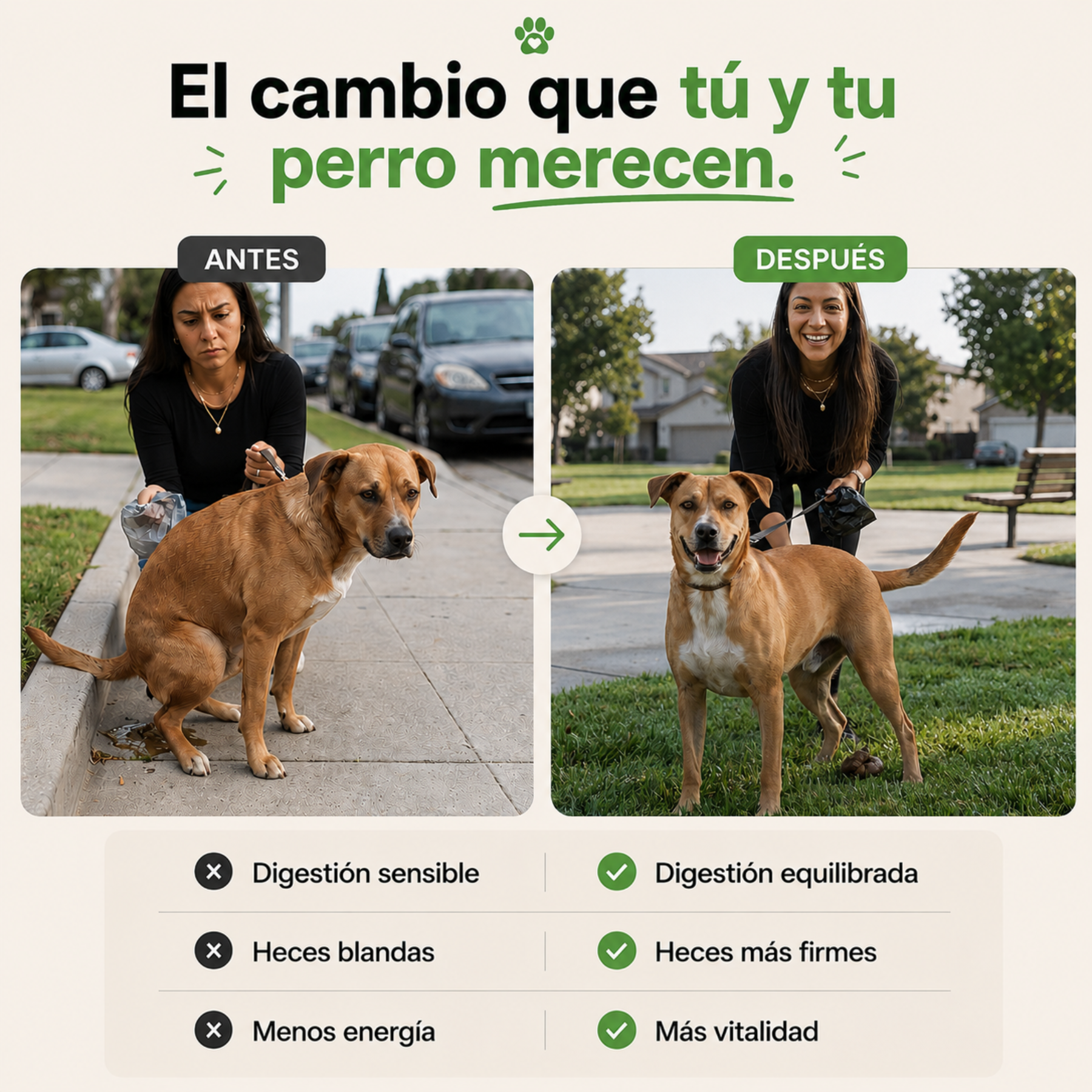 Probióticos para la salud digestiva de tu perro