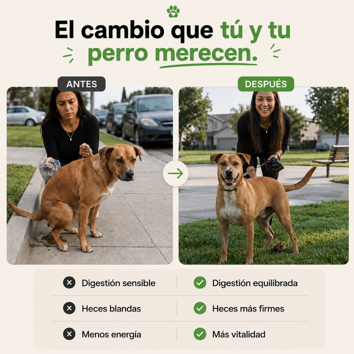 Probióticos para la salud digestiva de tu perro