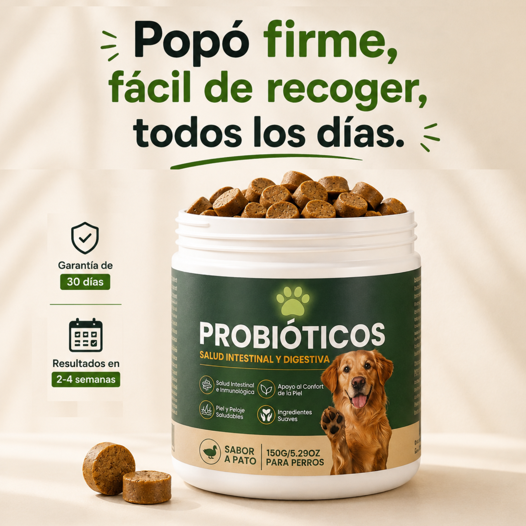 Probióticos para la salud digestiva de tu perro