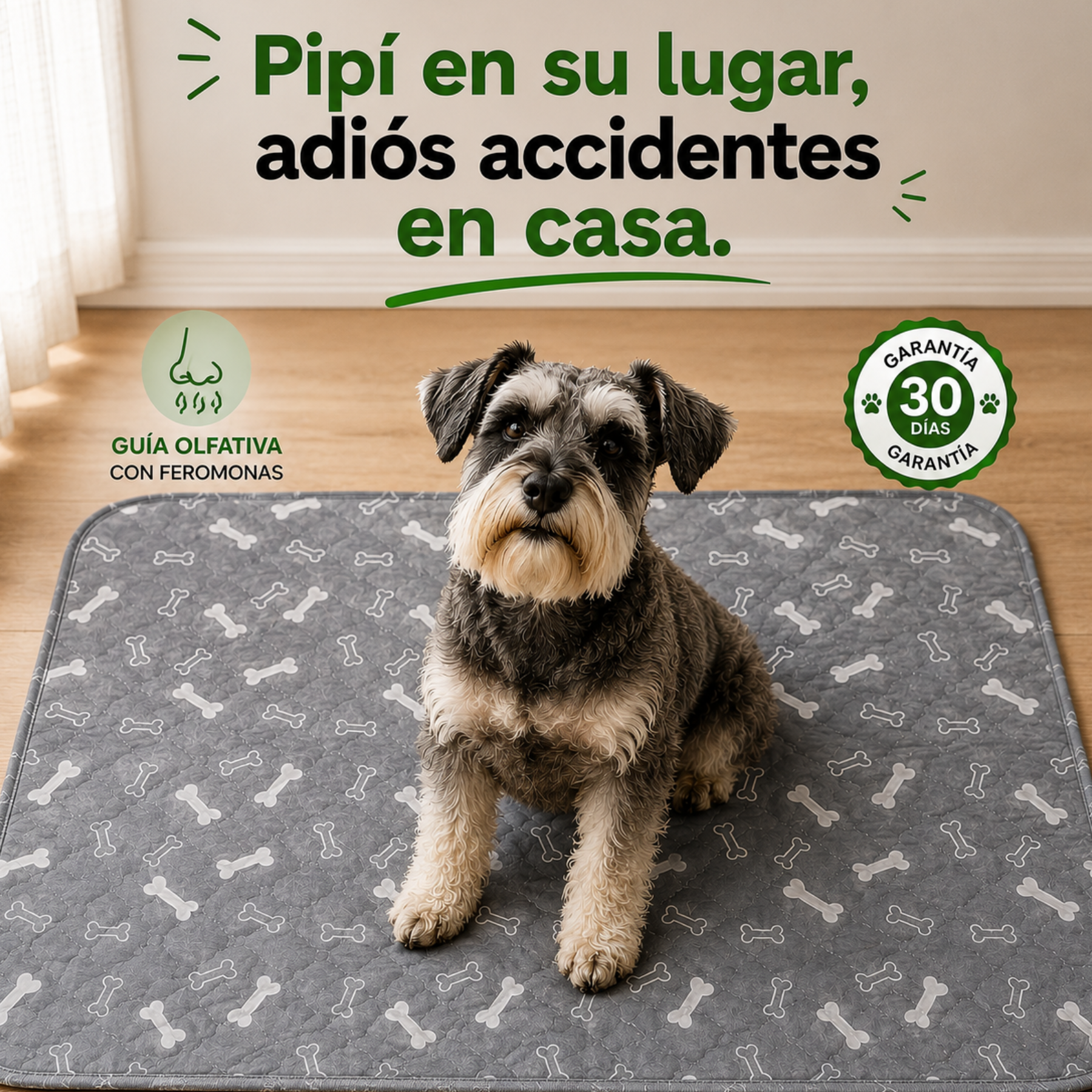 Tapete VetePaw
