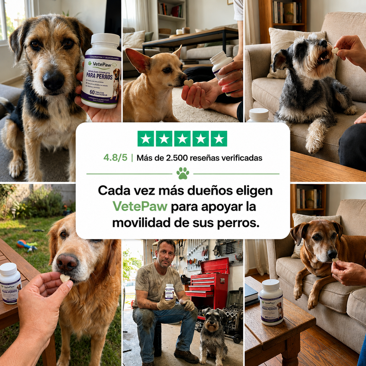 Apoyo Completo para Articulaciones y Movilidad