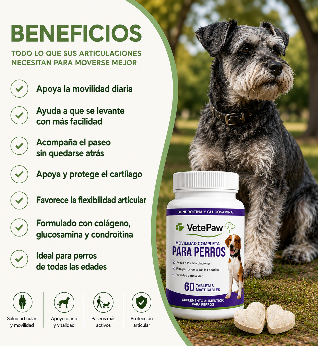 Apoyo Completo para Articulaciones y Movilidad