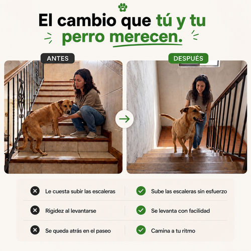 Apoyo Completo para Articulaciones y Movilidad